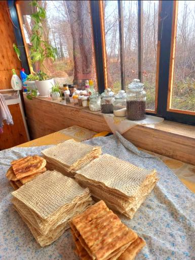 عکس کافه بومیت