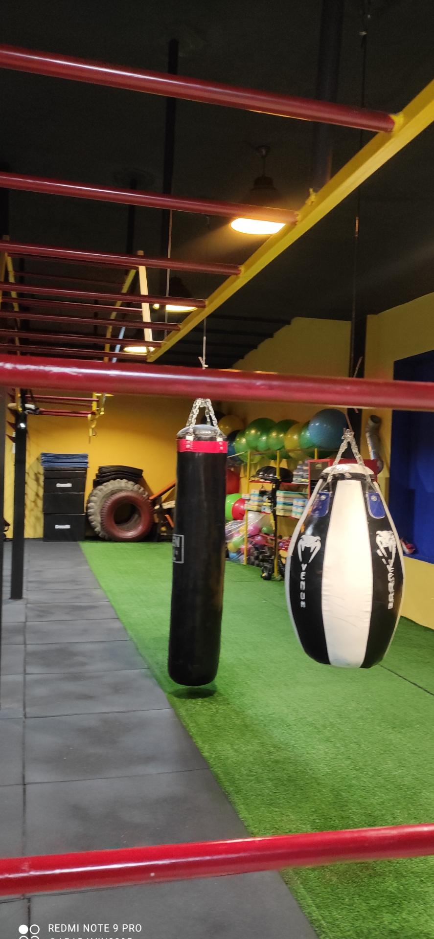 عکس باشگاه حس برتر