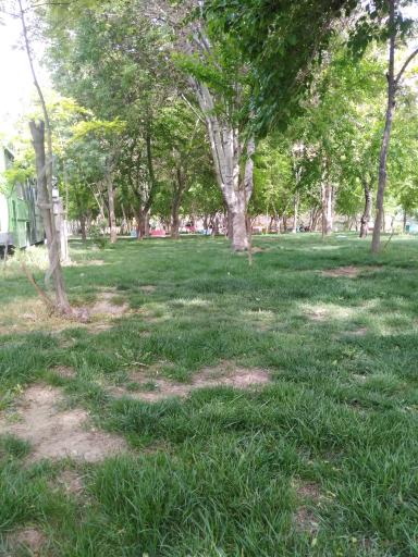 عکس پارک حلما