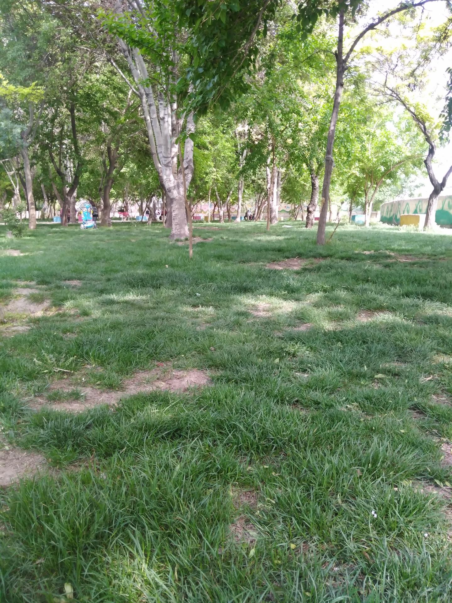 عکس پارک حلما