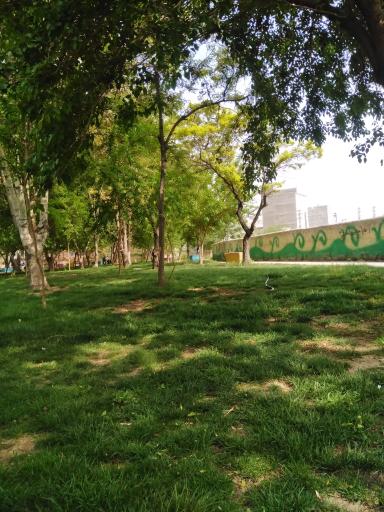 عکس پارک حلما