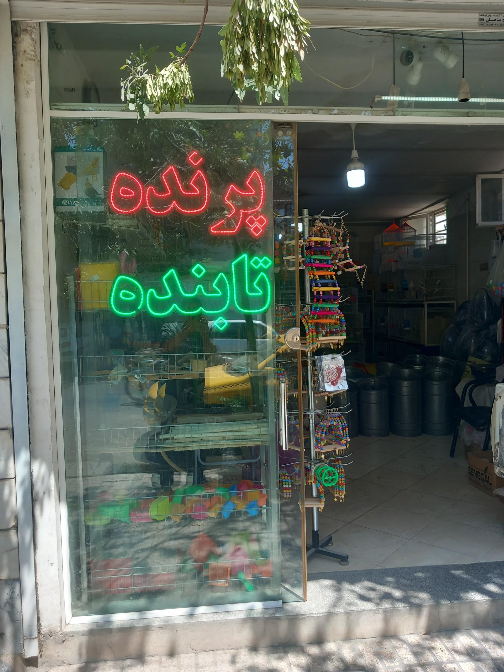 عکس پرنده فروشی
