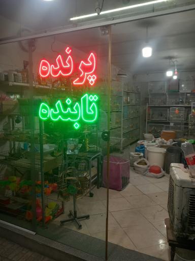 عکس پرنده فروشی
