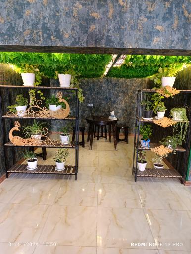 عکس کافه آفتاب 