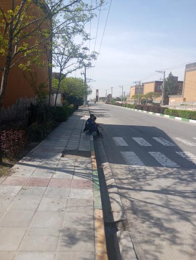 عکس امام رضا  3