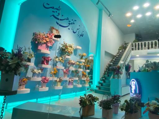 عکس گلفروشی فلورانس