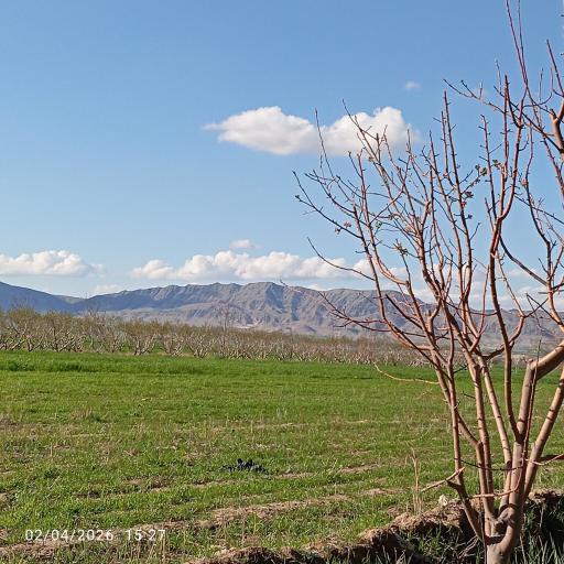عکس آشخانه