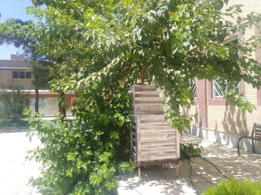 عکس دبیرستان آیت الله صالحی