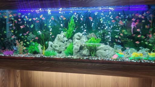 عکس رستوران شرکت نفت