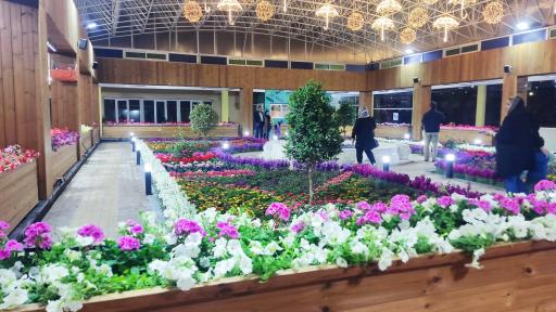 عکس رستوران شرکت نفت