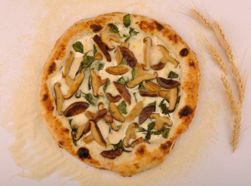 عکس آشپزخانه نیکات 