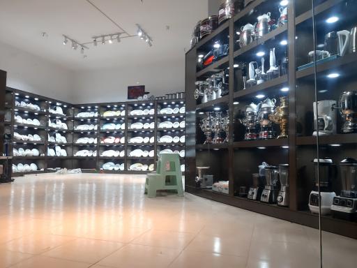 عکس چینی زرین 