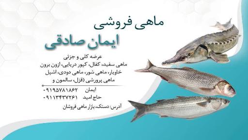 عکس ماهی فروشی ایمان صادقی دستک