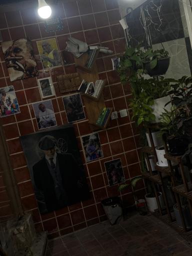 عکس آکادمی خاص پسند 