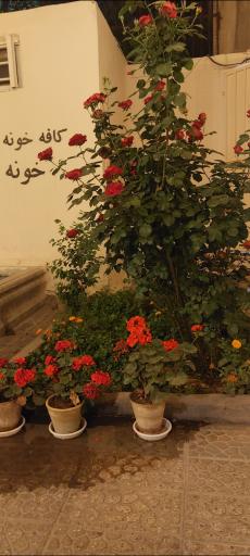 عکس کافه خونه