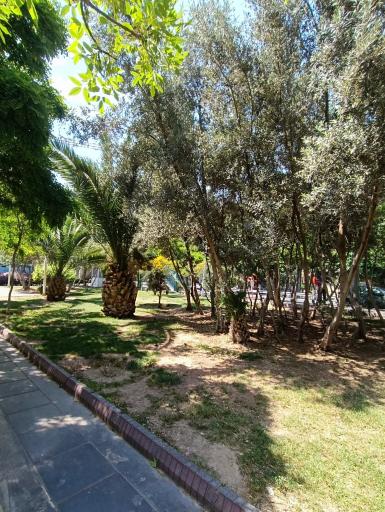 عکس بوستان سرور