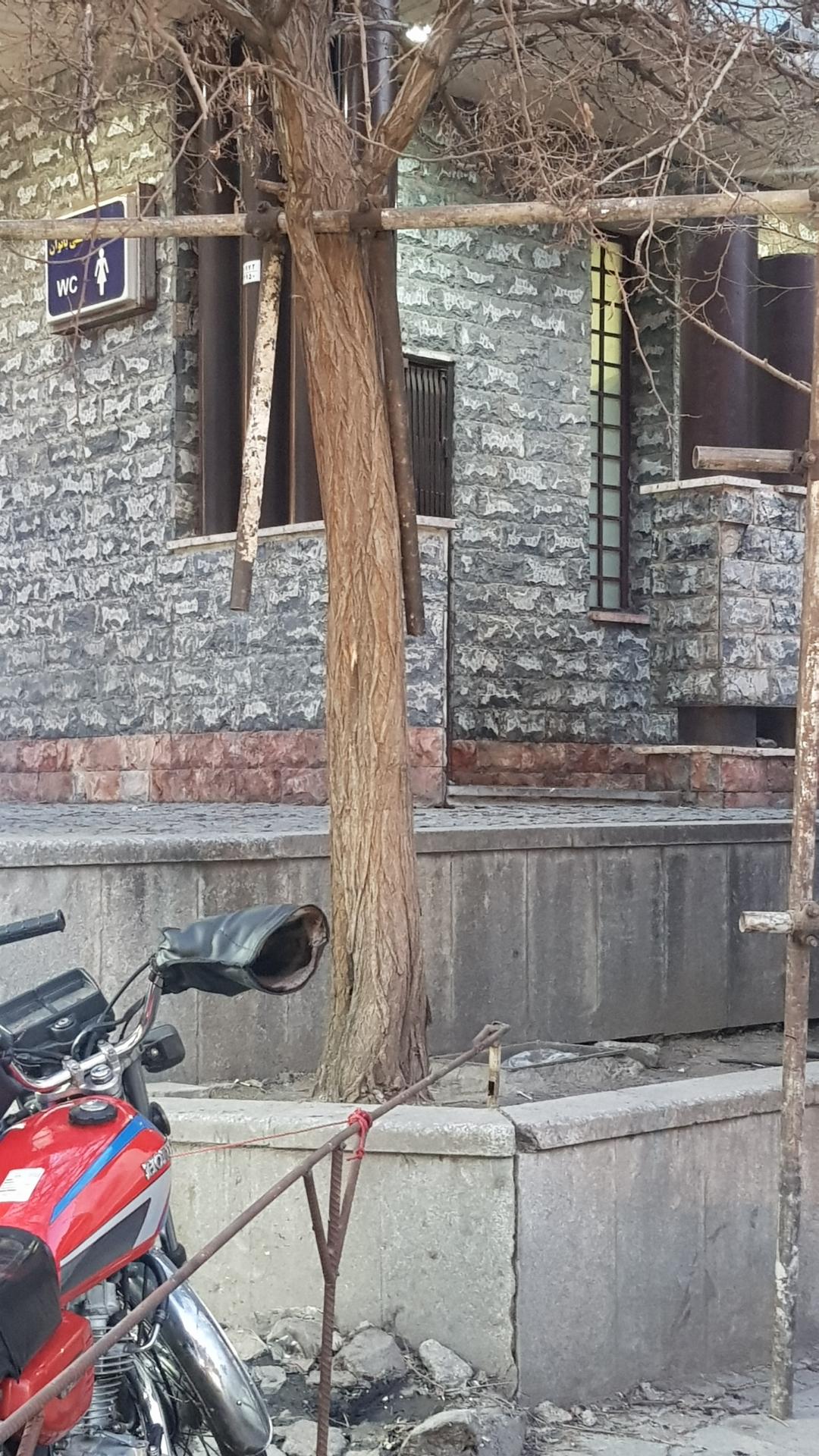 عکس سرویس بهداشتی عمومی