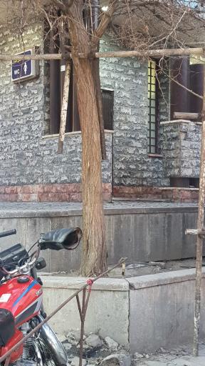 عکس سرویس بهداشتی عمومی