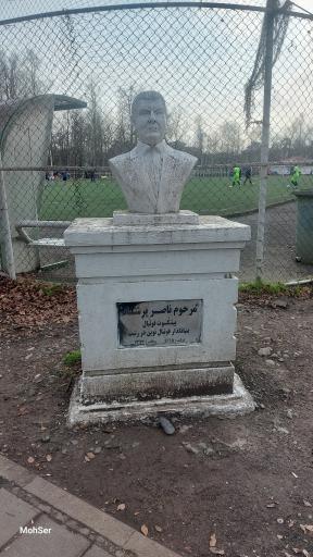 زمین چمن مصنوعی پارک شهر