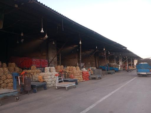 عکس بارفروشی میوه وتره بار