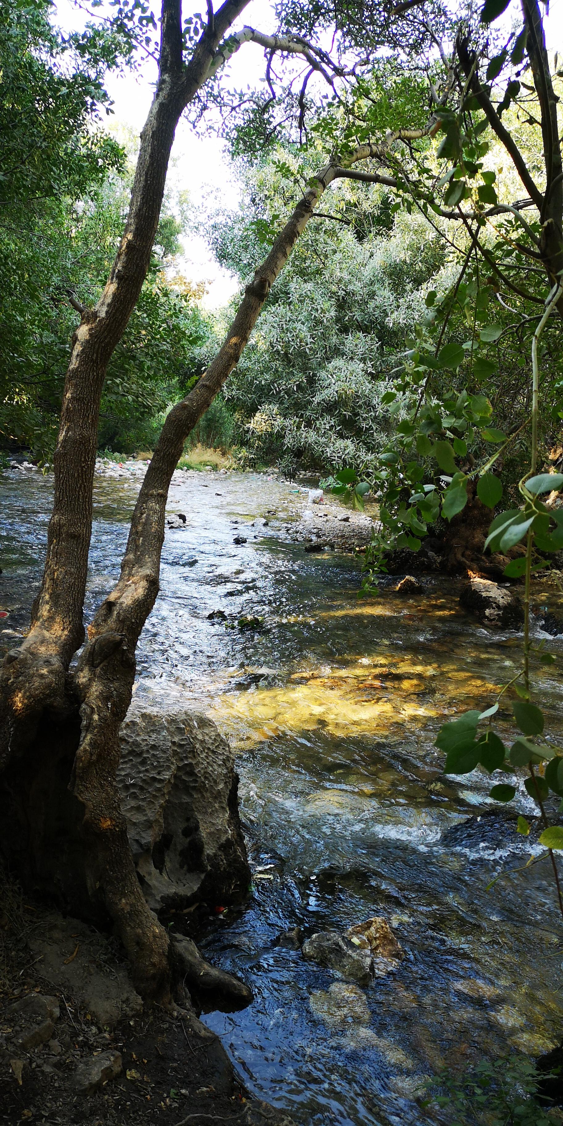 عکس رودخانه پیرغارفارسان
