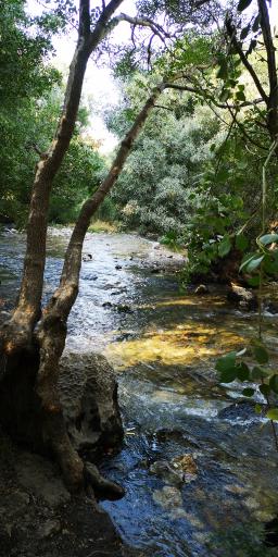 عکس رودخانه پیرغارفارسان