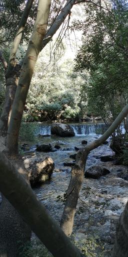 عکس رودخانه پیرغارفارسان