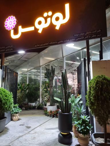 عکس گل فروشی لوتوس