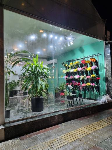 عکس گل فروشی لوتوس