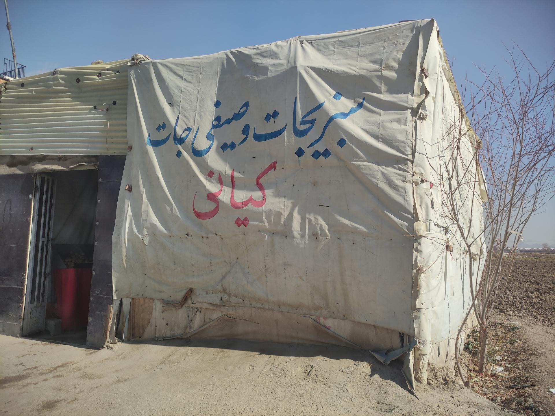 عکس دهکده سبزیجات