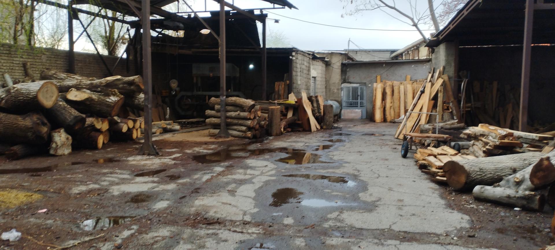 عکس چوب بری داود هفت لنگی