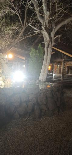 عکس باغ رستوران حلما