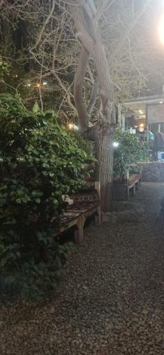 عکس باغ رستوران حلما