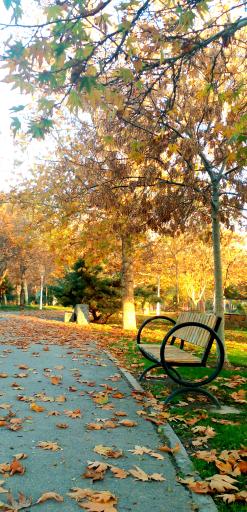 عکس بوستان پردیس قائم