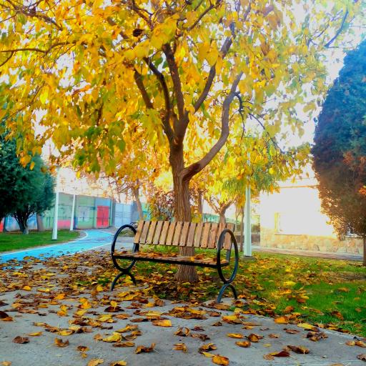 عکس بوستان پردیس قائم