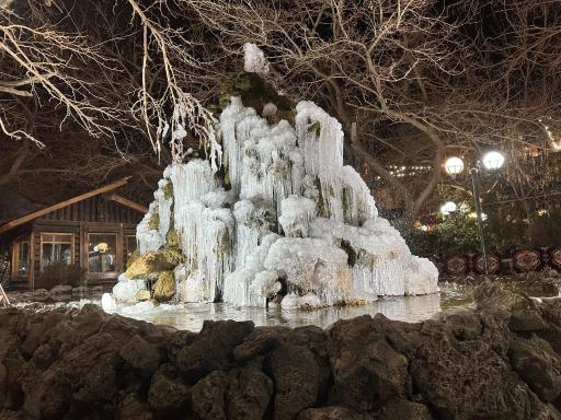 عکس باغ رستوران حلما