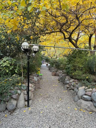 عکس باغ رستوران حلما