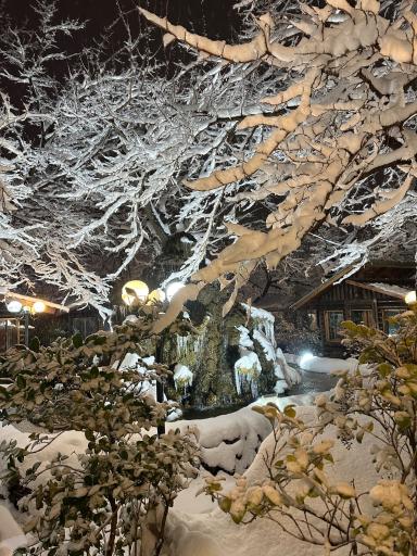 عکس باغ رستوران حلما