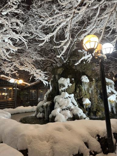 عکس باغ رستوران حلما