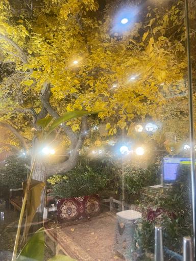 عکس باغ رستوران حلما