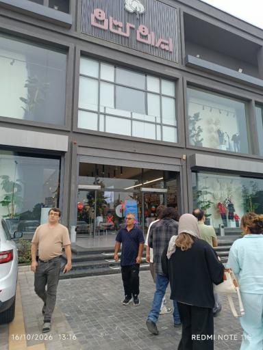عکس ایران کتان رامسر