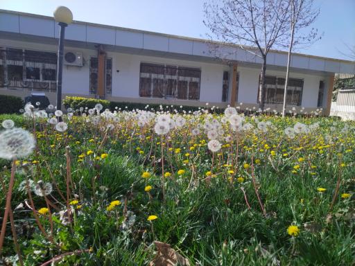 عکس آموزشکده فنی و حرفه ای امام خمینی