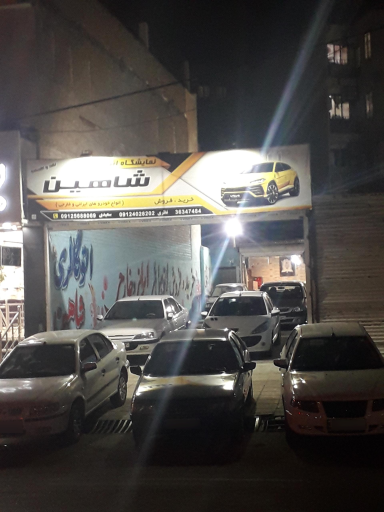 عکس اتوگالری شاهین