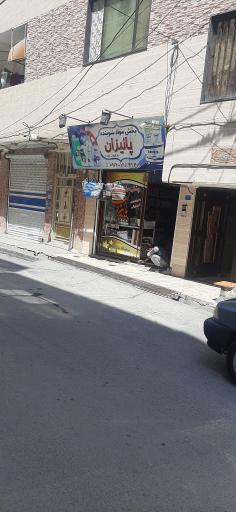 عکس مواد شوینده پائیزان