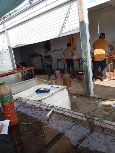 عکس دکه فروش ساندویچ ،فلافل،.....