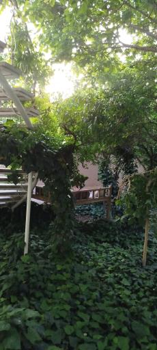 عکس باغ تالار و رستوران مرغ طلایی