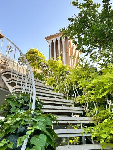 عکس باغ تالار و رستوران مرغ طلایی