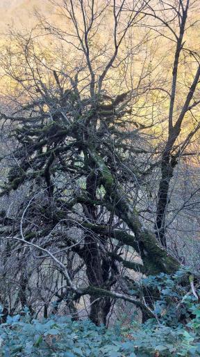 عکس آب گرم مشه سویی