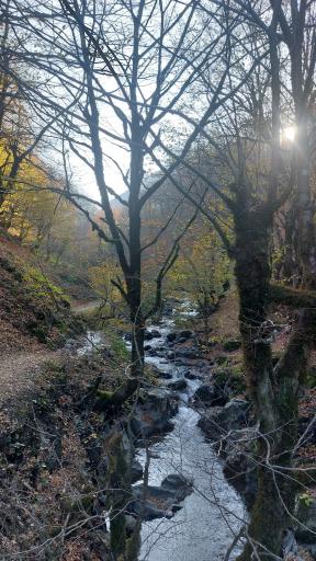 عکس آب گرم مشه سویی