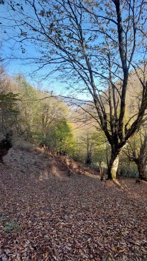 عکس آب گرم مشه سویی